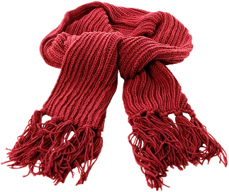 Lions Supporter Scarf