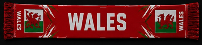 Wales Supporter Scarf